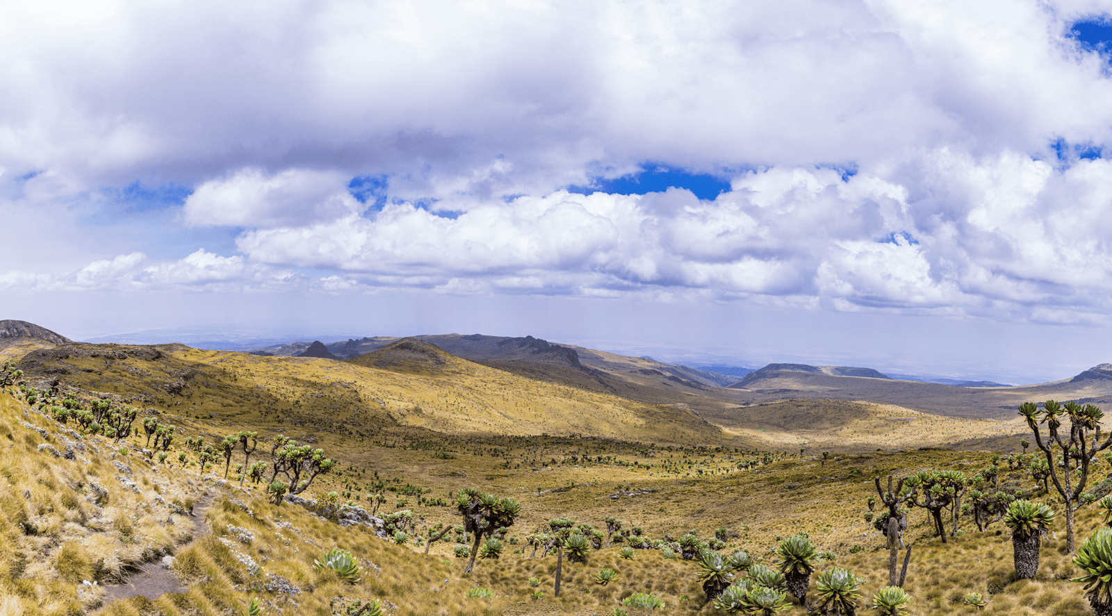 Background Montano travel 2