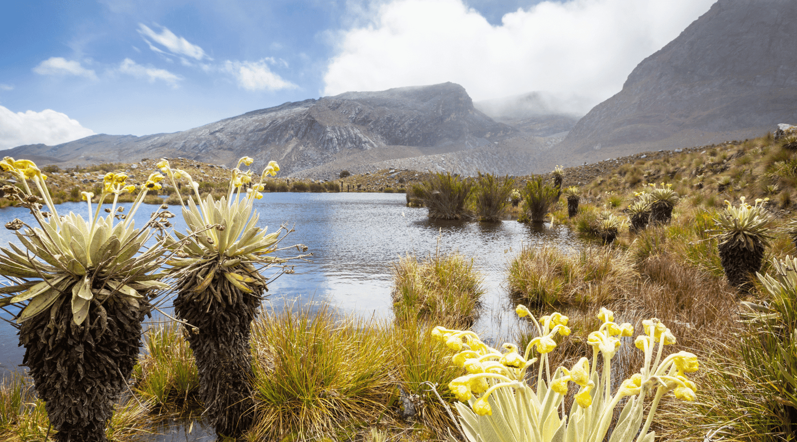 Background Montano travel 3