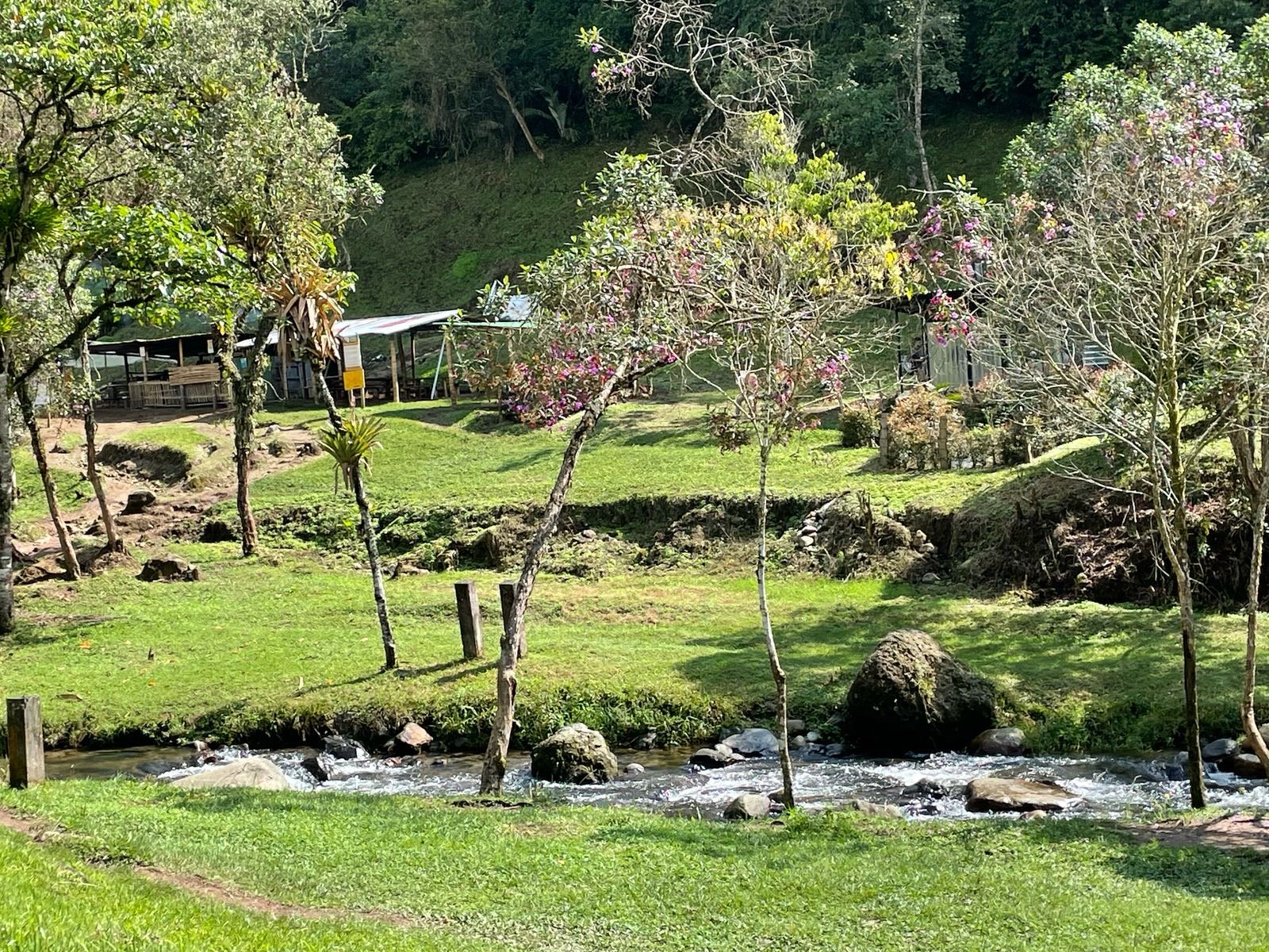 06b0dccd-ed01-4b32-b8f9-4ca5f1ff3f9e