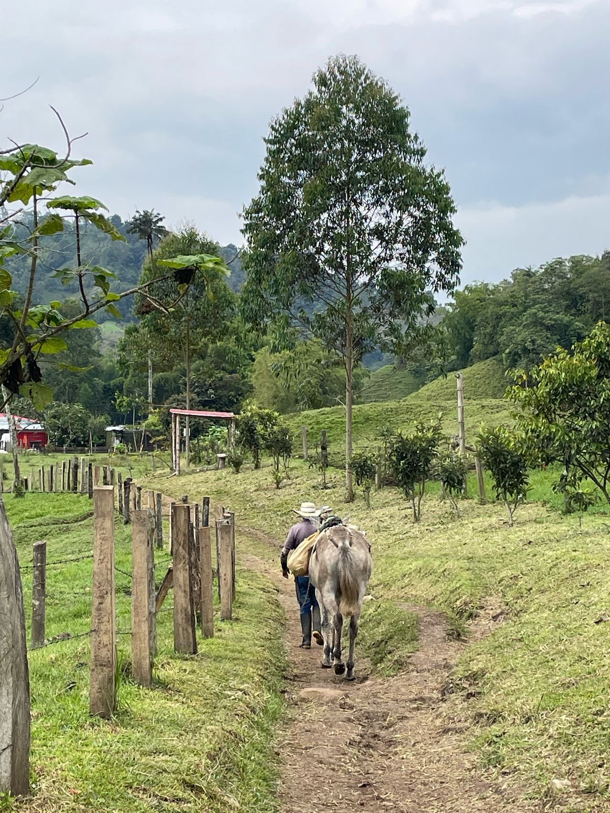 5b46bf0c-d3a2-411a-a31d-9c7bc92bc76a