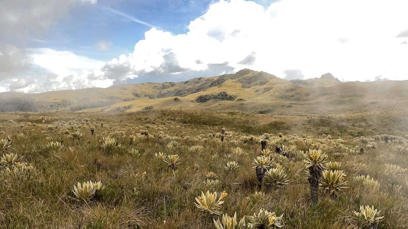 6F51935F-731E-4455-A56C-9528FFA25899