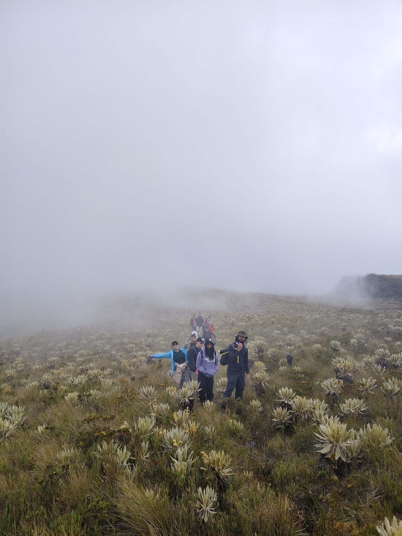 6d0b469a-11d7-42d3-8d21-5077aadf4adc