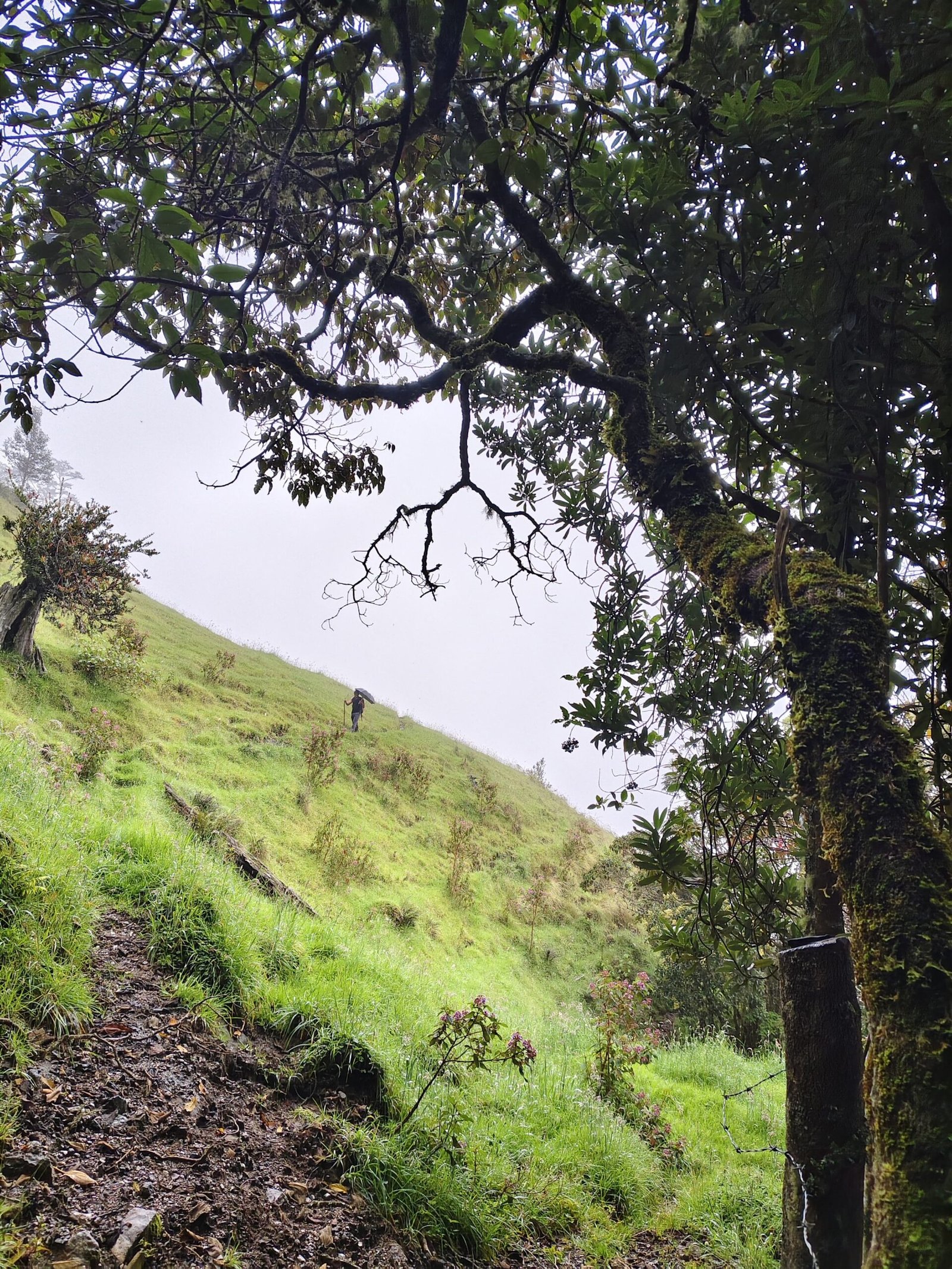 974cd0b0-072e-4bc9-9b23-e9ff4baf5d41