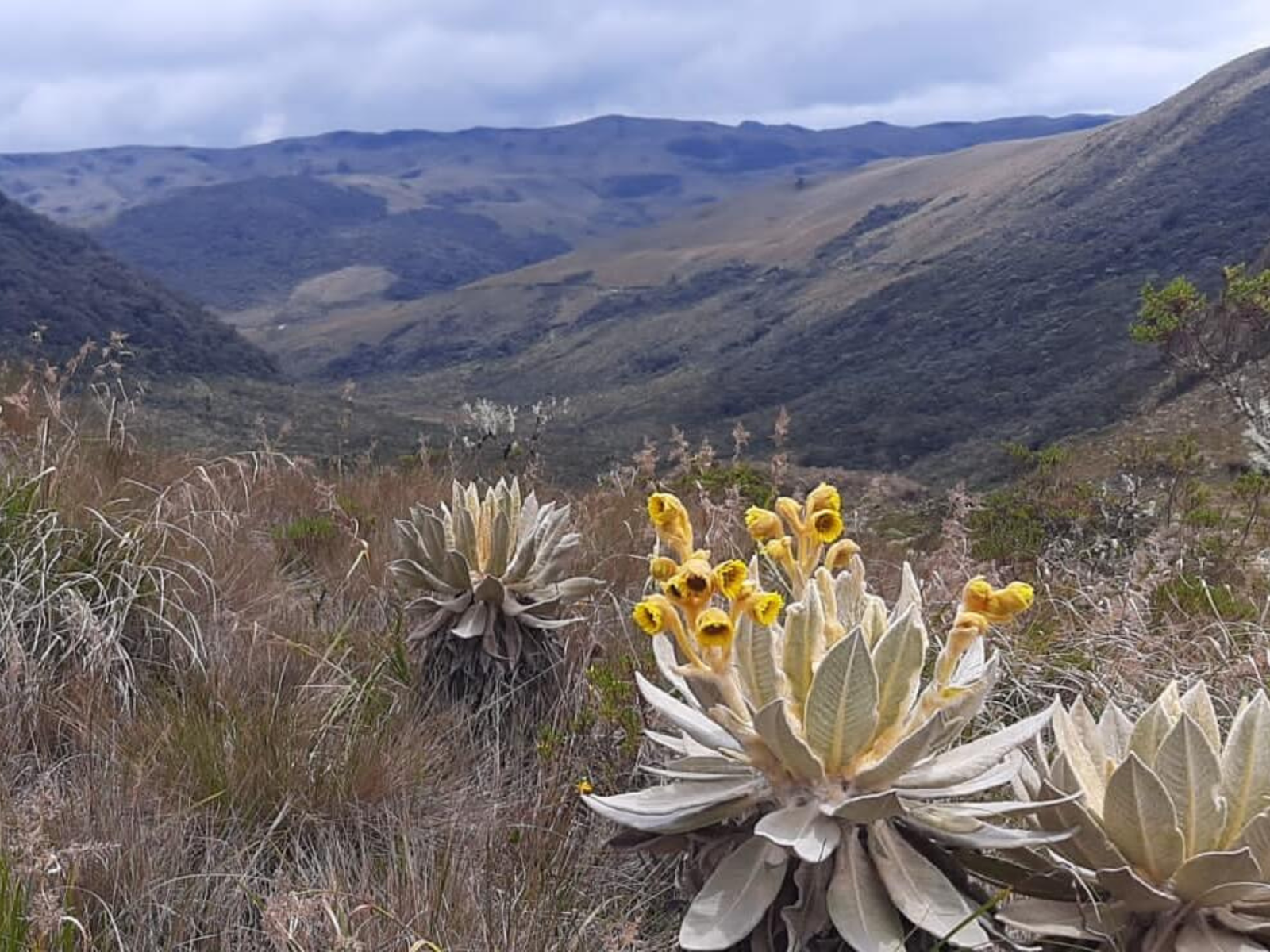 Diseño sin título (6)