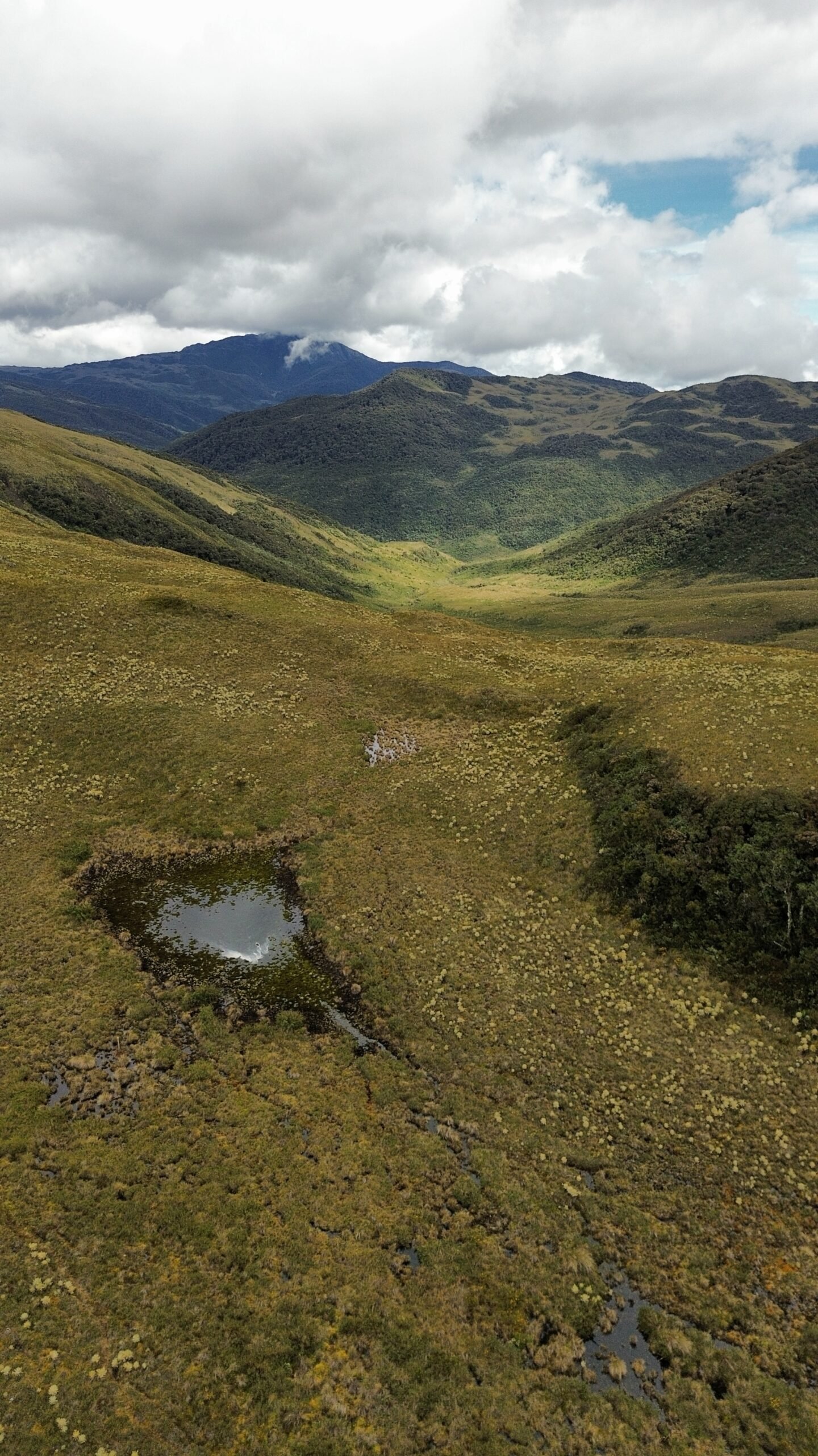 dji_fly_20251026_133022_165_1768782047932_photo_optimized