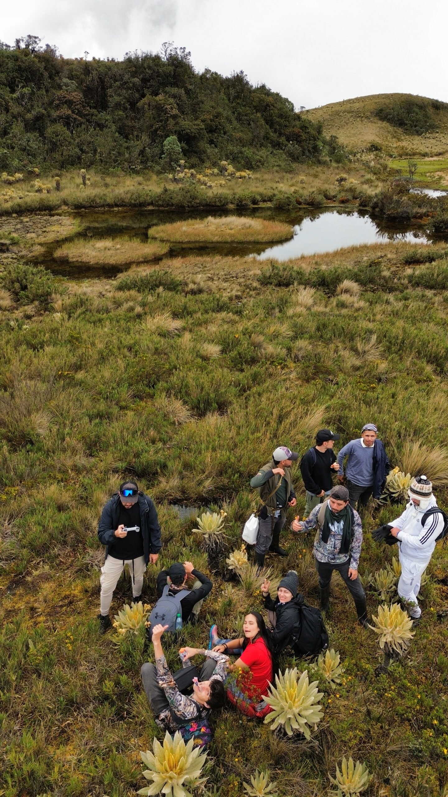 dji_fly_20251026_133136_171_1768782033724_photo_optimized