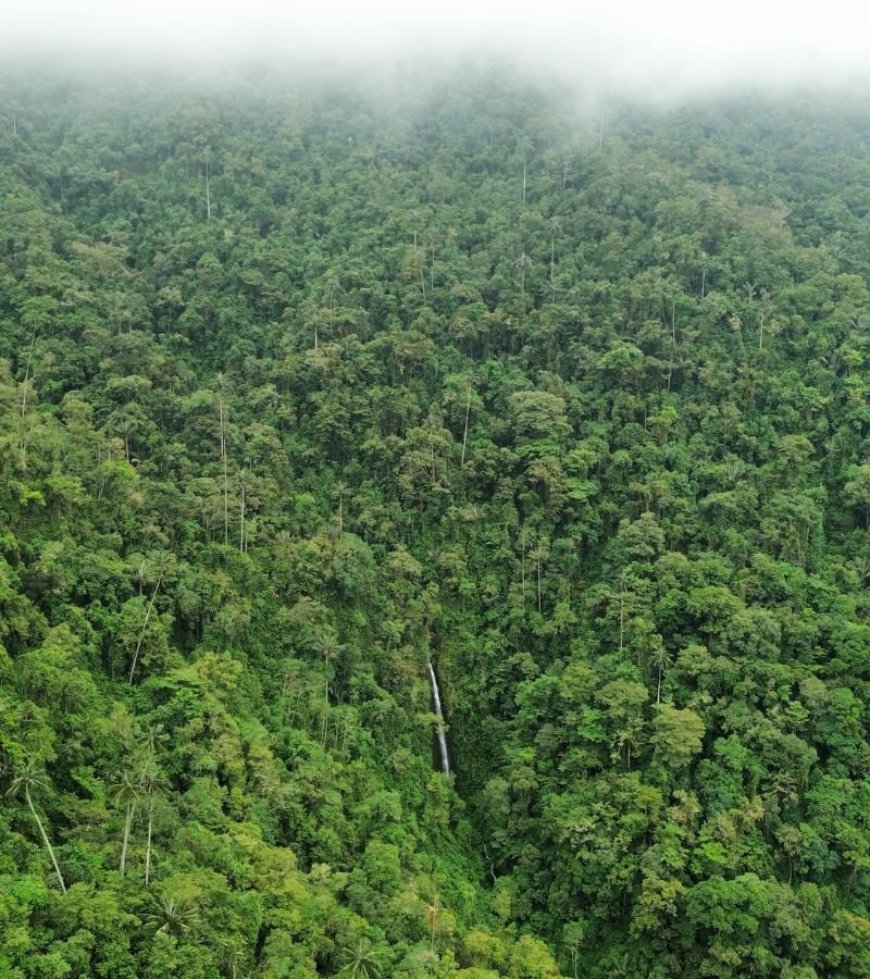 Diseño sin título (15)