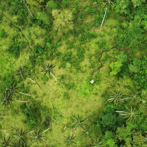 Diseño sin título (8)